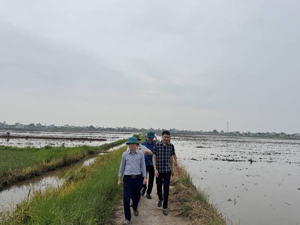 anh tin bai