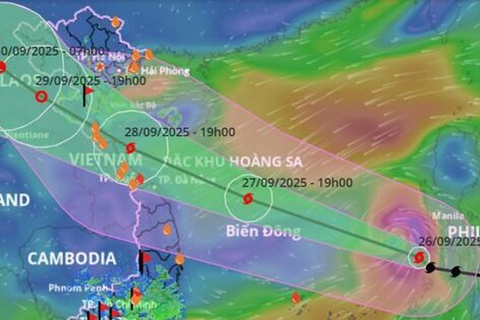 Công điện về việc chủ động phòng chống bão số 10